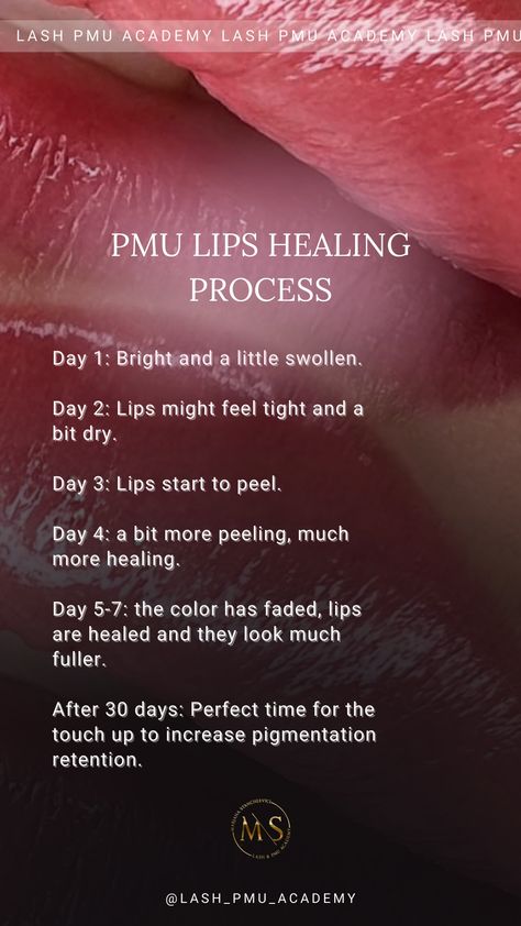 PMU Instagram Stories inspiration Editable powder brows healing eyeliner healing lips healing stories, custom made stories, SMM, template with Canva 45 unique stories for your instagram Сторис, косметология, т�ренды 2021, тренды 2022, тренды 2022, эстетика, оформление сторис, stories, идеи оформления, визуал, instagram story ideas, идеи сторис для инстаграм, идеи для сторис Brow Studio Ideas, Lip Shading, Pmu Lips, Blush Tips, Aftercare Cards, Lip Healing, Lip Permanent Makeup, Beauty Salon Posters, Brow Studio