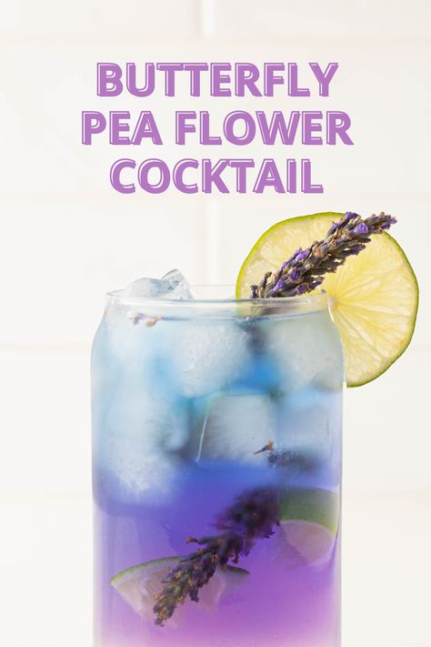 Butterfly Pea Cocktail, Welcome Drink Ideas, Pea Flower Cocktail, Butterfly Pea Flower Cocktail, Butterfly Pea Flower Lemonade, Dried Butterfly, Lavender Drink, Vodka Recipes Drinks, Herbal Garden