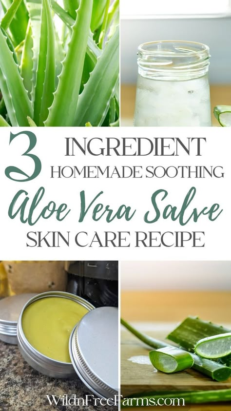 aloe vera salve Drinking Aloe Vera Juice, Drinking Aloe Vera, Aloe Vera Juice Recipes, Aloe Uses, Diy Aloe Vera Gel, Aloe Vera Juice Benefits, Aloe Vera Diy, Skin Treatments For Acne, Aloe Vera Recipes