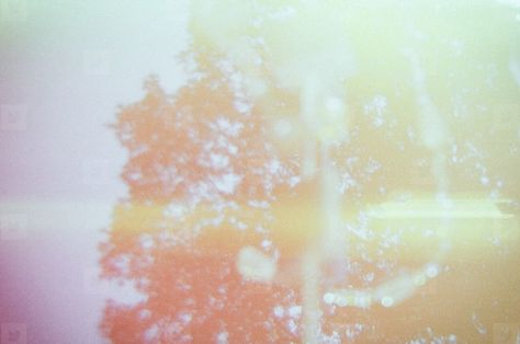 Tree_Lightleaks By Melanie McCabe on YouWorkForThem. Soft Light Aesthetic, Soft Ethereal Aesthetic, Lumen Prints, Hazelnut Tree, Siamese Dream, Cute Disney Drawings, Ethereal Aesthetic, Light Leak, Morning Affirmations