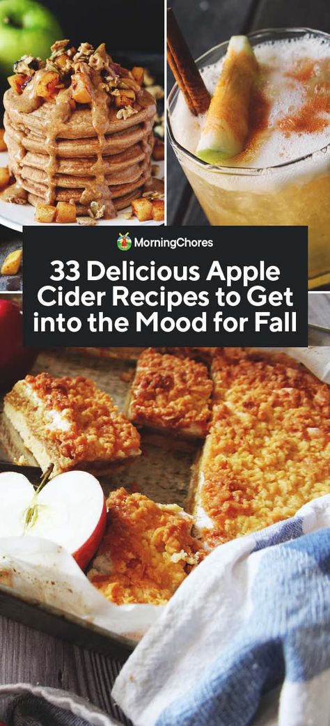 33 Delicious Apple Cider Recipes to Get into the Mood for Fall Recipes To Use Up Apple Cider, Recipe With Apple Cider Vinegar, Apple Cider Uses Food, Apple Cider Ideas, Ways To Use Apple Cider, Apple Cider Food Recipes, Apple Cider Recipes Food, Recipes Using Apple Juice, Recipes Using Apple Cider