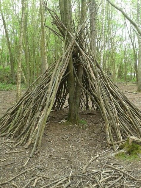 Teepee Out Of Sticks, Wood Forts In The Woods, Fort Ideas Outdoor Diy Easy, Fort In The Woods Diy, Den Building Outdoor, How To Build A Shelter In The Woods, Outside Fort Ideas Woods, Stick Forts Outside, Diy Shelter In The Woods