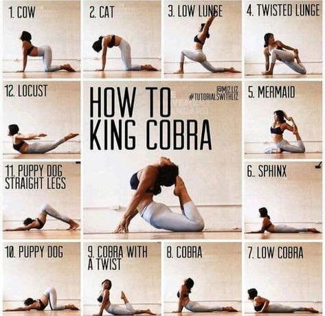 Yoga Poses - How To King Cobra. CLICK HERE : T-SHIRT LIMITED EDITION Yoga Foto's, Yoga Ashtanga, Yoga Nature, Ashtanga Vinyasa Yoga, Bed Workout, Yoga Online, Yoga Video, Cobra Pose, Beginner Yoga