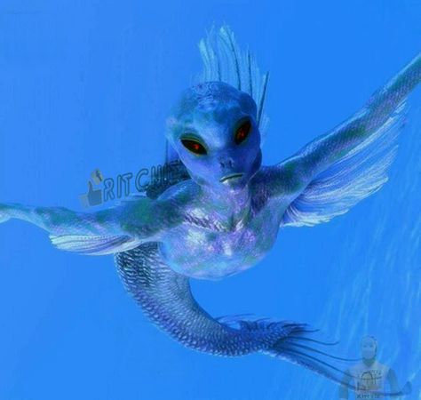 Underwater Alien, Sea Alien, Pisces Queen, Alien Alien, Star People, Blue Alien, Alien Species, 70s Sci Fi Art, Alien Concept