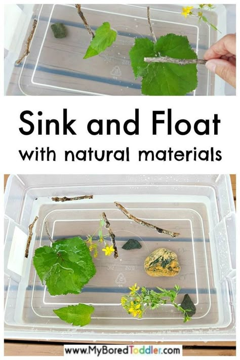 Sink and float toddler activity with materials from nature - an easy water play activity for toddlers and preschoolers - sinki or float - math and science activities for toddlers #myboredtoddler #toddleractivity #waterplay #sensoryplay #sensorybin #summeractivity #toddleractivities #oneyearold #twoyearold #threeyearold #toddlerlearning Science Activities For Toddlers, Vetenskapliga Experiment, Water Play Activities, Outdoor Learning Activities, Outdoor Activities For Toddlers, Sink Or Float, Forest School Activities, Activity For Toddlers, Play Activity