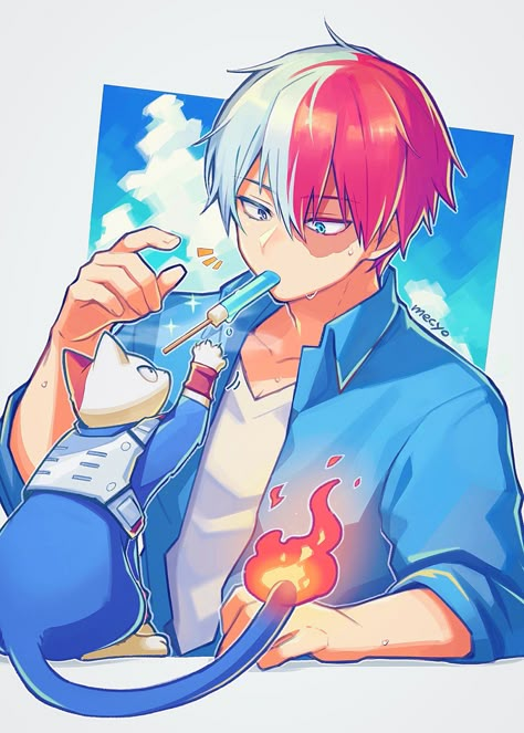 Shouto Todoroki, Black Cat Anime, Icy Hot, Anime Canvas Art, My Hero Academia Shouto, Anime Canvas, Cartoon Profile Pics, Naruto Art, Anime Eyes