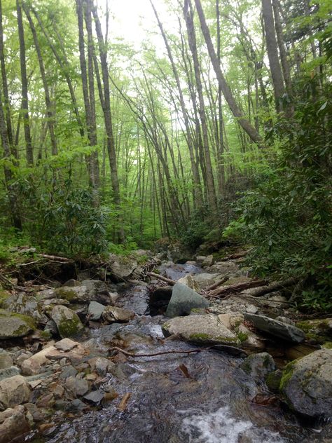 Grandfather Mountain Profile trail North Carolina Grandfather Mountain, Mountain Pictures, Country Roads, Road, Water