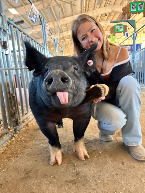 Cute Stock Show Outfits, Pig Showing Aesthetic, Cow Show Hairstyles, Show Pig Outfits, Pigs Aesthetics, Show Hogs, Stock Show Outfits Winter, Show Pig Names, Livestock Senior Pictures Pigs