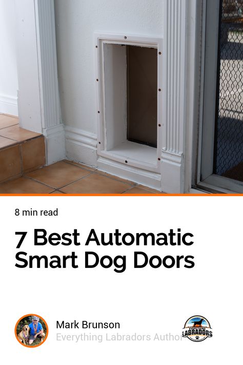 7 Best Automatic Smart Dog Doors Dog Door Through Wall, Microchip Dog Door, Large Doggie Door Ideas, Modern Dog Door, Doors With Doggie Doors Built Ins, Dog Doors Ideas, French Doors With Doggie Door, Doggie Door Ideas, Secure Dog Door