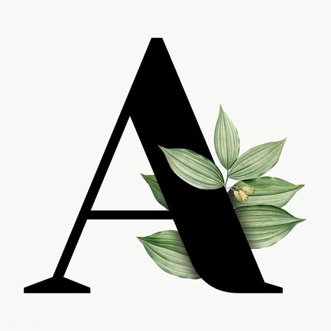 Botanical Letters, Botanical Capital Letter, Letter A, A To Z, Transparent Png, Alphabet, Split, Credit Card