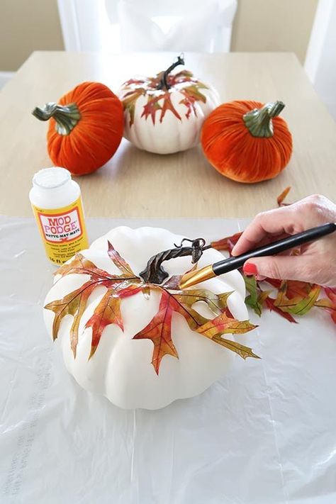 How-to Découpage Fall Leaves on a Pumpkin Fall Pumpkin Painting Ideas, Fall Pumpkin Painting, Pumpkin Painting Ideas Fall, Painting Ideas Fall, Pumpkin Idea, No Carve Pumpkin, Decoupage Pumpkins, No Carve Pumpkin Decorating, Casa Halloween