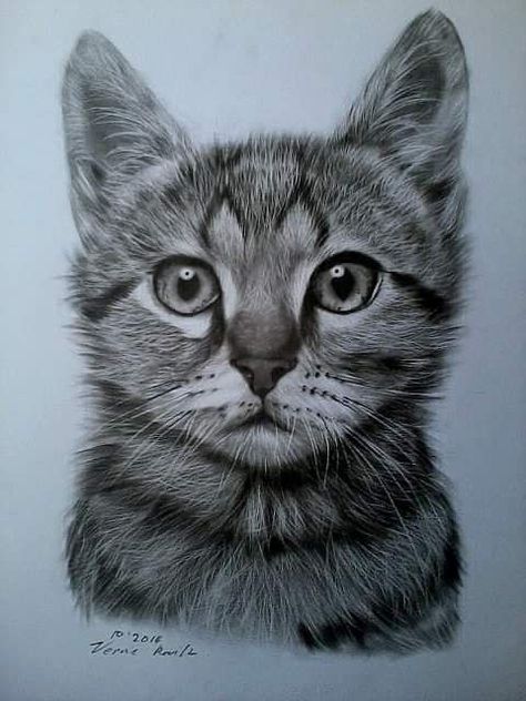 Realistic Cat Drawing Pencil Art, Cat Face Drawing, Wrist Tattoo Ideas, Wrist Tattoo Designs, Cats Art Drawing, Cartoon Drawings Disney, Pencil Drawings Of Animals, Charcoal Powder, Pencil Sketch Images