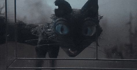 Tap the image to animate the gif. Coraline Cat, Coraline Art, Laika Studios, Coraline Movie, Coraline Aesthetic, Tim Burton Characters, Coraline Jones, Tim Burton Films, Tim Burton Movie