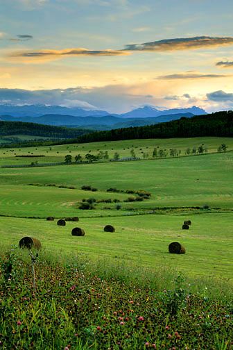 Alberta Alberta Landscape, Farm Fields, Southern Alberta, Prairie Rose, Calgary Canada, O Canada, Hay Bales, Western Canada, Chrysler Building