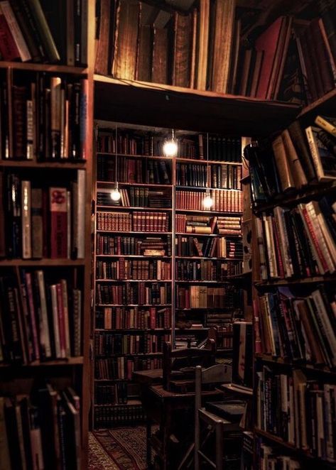 Home Library Aesthetic, Lots Of Books, Old Libraries, Dream Library, Beautiful Library, Library Aesthetic, Hogwarts Aesthetic, Home Libraries, Dark Academia Aesthetic