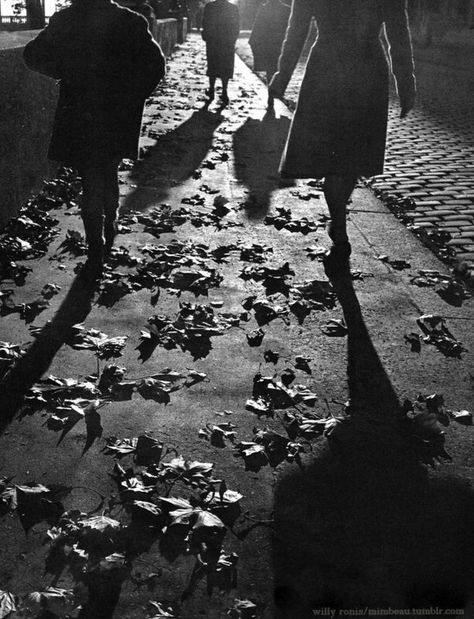 Sidewalk in autumn,Paris 1950s Spooky Dooky, Paris 1950s, Sabine Weiss, Willy Ronis, 1950s Photos, Paris In Autumn, Shadow Silhouette, Robert Doisneau, People Walking