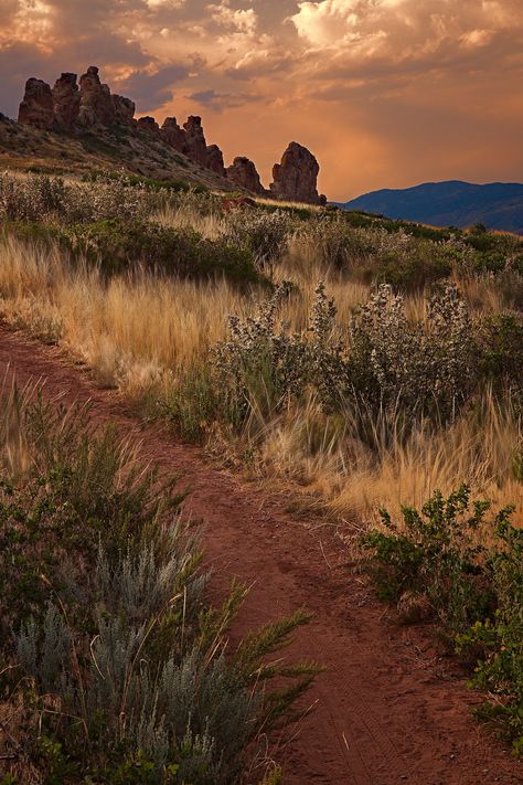 "Devils Backbone Trail Lovland Colorado" by Johnny Gomez Devils Backbone Colorado, Glenwood Canyon Colorado, Colorado Caves, Devils Backbone, John Denver Country Roads, Greeley Colorado, Loveland Colorado, Northern Colorado, State Of Colorado