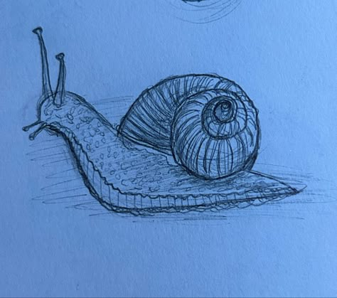 Snail Drawing Aesthetic, Snail Sketch, Sea Snail Drawing, Snail Drawing Simple, Aesthetic Snail Drawing, Snail Drawing, Snail Simple Draw, Trippy Snail Drawing, Sea Snail