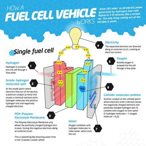 How a Hydrogen Fuel Cell Works Fuel Cell Technology, Hydrogen Energy, Hydrogen Car, Hydrogen Generator, Yoga Information, Free Energy Projects, Hydrogen Fuel Cell, Hydrogen Fuel, Education Humor