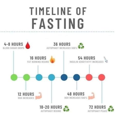 timeline of fasting Fasting Diet Plan, Health Statistics, Healthy Balanced Diet, Fasting Diet, Insulin Resistance, What Happened To You, Health Info, Health Facts, Intermittent Fasting