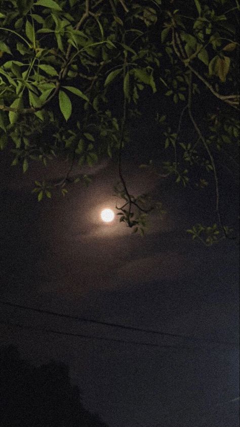 Fake Moon Snap, Night Instagram Story Aesthetic, Aesthetic Night Snaps, Night View Snap, Moon Snap Stories, Night Vibes Snap, Night Snap Ideas, Nature At Night, Moon And Star Quotes