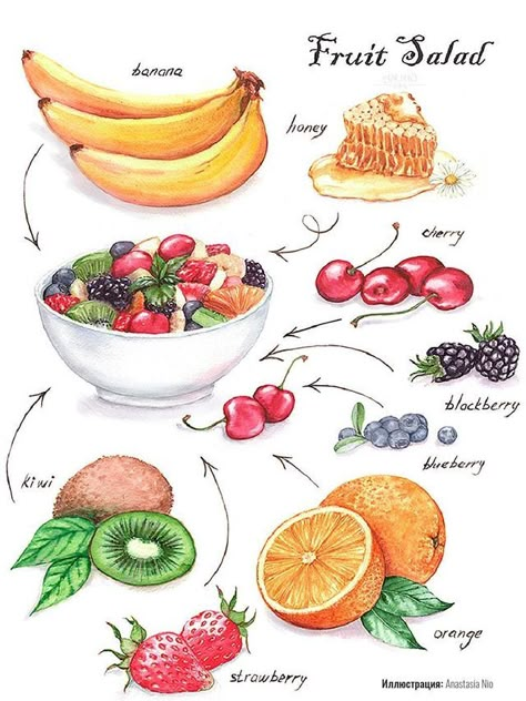 Salad Drawing, Fruit Salad Ingredients, Watercolor Food Illustration, Recipe Book Design, Illustrated Recipes, Recipe Drawing, Food Doodles, Food Sketch, Watercolor Food