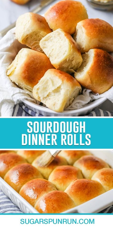 Sourdough Dinner Rolls - Sugar Spun Run Milk And Pop Sourdough Rolls, Rolls With Sourdough Starter, Cooking With Sourdough Starter, Making Sourdough Bread With Starter, Sourdough Breadmaker Recipes, Fluffy Sourdough Rolls, Thanksgiving Sourdough Rolls, Sourdough Texas Roadhouse Rolls, Make Ahead Sourdough Rolls