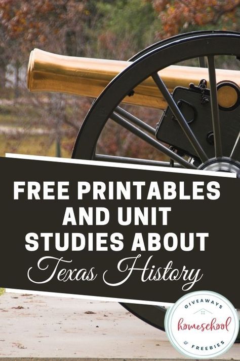 Homeschool Giveaways shares free printables and unit studies about Texas history. Many of us Americans are intrigued about the great state of Texas. These free printables and unit studies about Texas history will help your kids learn all about the Lone Star State. Texas Revolution Activities, Texas History Projects, Texas Geography, Texas Homeschool, Texas History 7th, History Youtube Channels, Texas History Classroom, History Printables, Texas Revolution