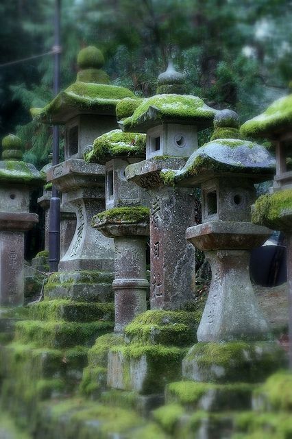 Mossy stone lanterns - Nara, Japan - The Kasuga Grand Shrine features over 3000 antique stone and bronze lanterns from the 11th century, all repaired every 20 years. Founded in 788 AD, it is actually 4 Shrines consecrated to different Shinto deities Mossy Stone, Japanese Garden Ideas, Stone Lantern, Japanese Lanterns, Asian Garden, Moss Covered, Zen Gardens, Moss Garden, Land Of The Rising Sun