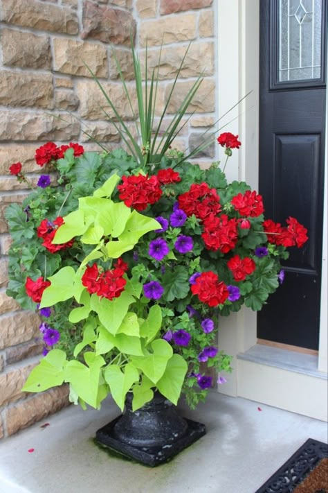 Planter Inspiration, Stairs Porch, Porch Planter Ideas, Summer Planter, Front Stairs, Small Yard Landscaping, Porch Flowers, Container Garden Design, Diy Planter