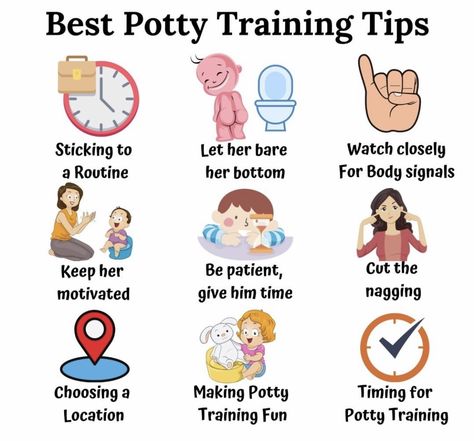 Parenting Charts, Pregnancy Illustration, Best Potty, Toddler Daycare, Teaching Responsibility, Toddler Potty, Toddler Potty Training, Potty Training Chart, Baby Information