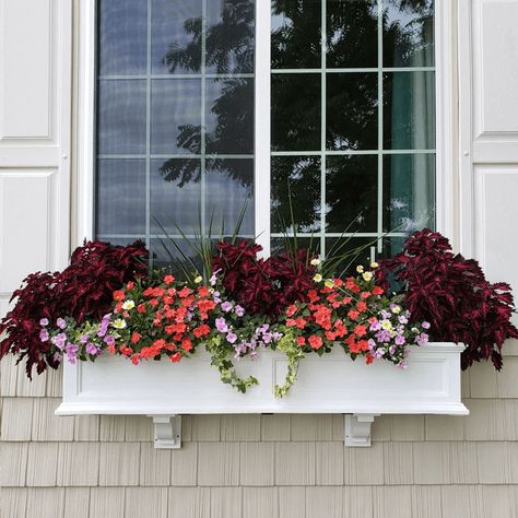 8 Best Window Planter Boxes White Window Boxes, Window Planter, Fall Clean Up, Plant Window, Window Plants, Window Box Flowers, Window Planters, Window Planter Boxes, Flower Window