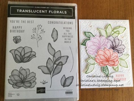 Su Translucent Florals, Stampin Up Translucent Floral Cards, Stampin Up Translucent Florals, Translucent Florals Stampin Up Cards, Translucent Flowers, Translucent Florals, Distressed Tile, Floral Cards Design, Embellishment Diy