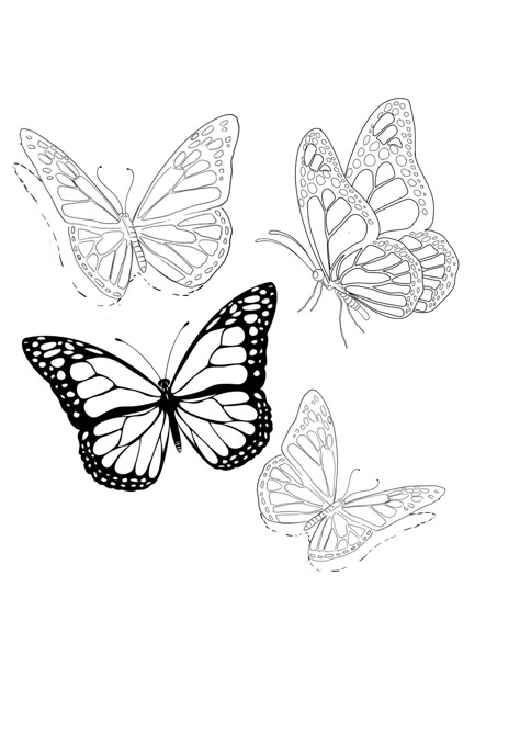 Butterfly With Shadow Tattoo Stencil, Butterfly With Shadow Tattoo, Butterfly Tattoo Template, Angel Wings Tattoo Stencil, Impala Tattoo, Outline Butterfly, Skull Butterfly Tattoo, Realistic Butterfly Tattoo, Butterfly With Flowers