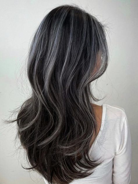 Grey Balayage Highlights on Black Hair Black Hair Highlights Ideas, Black Hair Highlights, Hair Highlights Ideas, Gray Highlights, Silver Hair Highlights, Dark Grey Hair, Highlights Ideas, Black Hair Balayage, Hair With Highlights