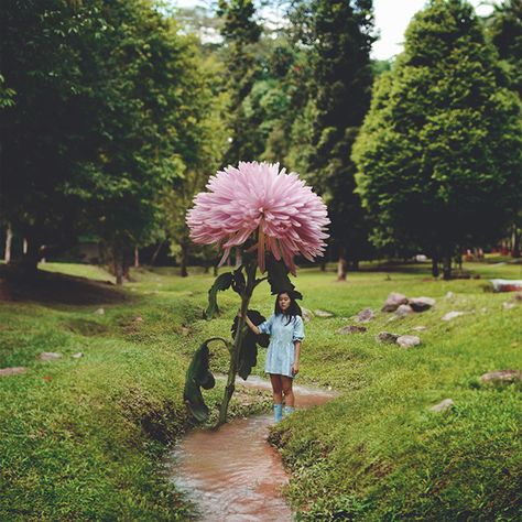 Giant Flowers, Lewis Carroll, Miyazaki, Pics Art, Flowers Photography, Self Portrait, Pre Wedding, Flower Power, Photo Inspiration