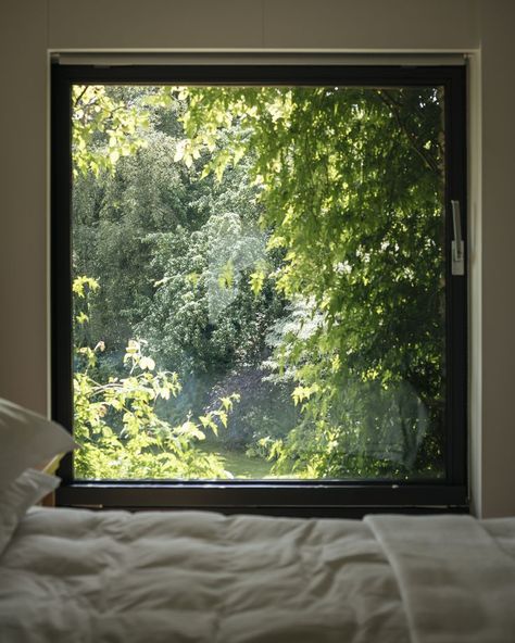 Large Square Window, Window Forest View, Garden View From Window, Big Window Bedroom, Panorama Window, Large Windows Living Room, Color Palette Living Room, Home Windows, Picture Window