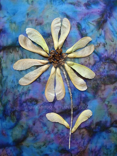 Maple Key Crafts, Seed Flowers, Maple Tree Seeds, Daisy Doodle, Dragonfly Garden Decor, Sycamore Seed, Maple Seeds, Maple Seed, Seed Craft