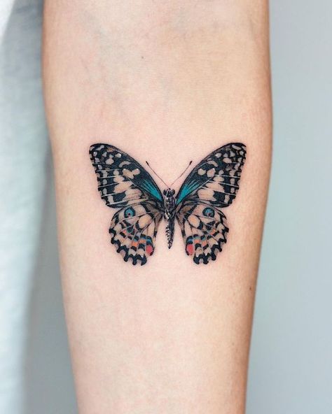 Illustrative Butterfly Tattoo, Butterfly Wave Tattoo, Amazing Butterfly Tattoos, Butterfly Detailed Tattoo, Blue And Orange Butterfly Tattoo, 90s Butterfly Tattoo, Watercolor Monarch Butterfly Tattoo, Brain Butterfly Tattoo, Butterfly Recovery Tattoo