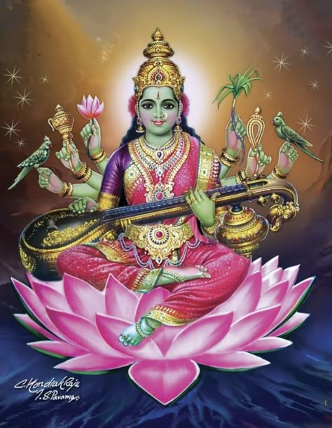 Matangi Devi, Dasa Mahavidya, Dus Mahavidya, Das Mahavidya, Devi Saraswati, Kali Hindu, Saraswati Devi, Shri Ganesh Images, Aadi Shakti