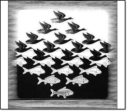 amazing-photo-fishes-birds | The Lex Talionis | Flickr Optical Illusions For Kids, Mc Escher Art, Escher Art, Maurits Cornelis Escher, Optical Illusion Drawing, Sky And Water, Composition Ideas, Illusion Drawings, M C Escher