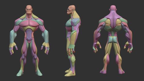 Blender Character Modeling, 3d Anatomy, Zbrush Character, Human Anatomy Art, Anatomy Poses, Model Drawing, 3d Modelling, Anatomy Reference, Character Modeling