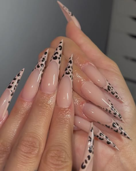 Leopard Print Nails Stiletto, Stiletto Nails Cheetah, Stilleto Cheetah Nails, Leopard Print Stiletto Nails, Cheetah Nails Stiletto, Brown Stiletto Nails Design, Stiletto Leopard Nails, Cheetah Print Stiletto Nails, Stiletto Cheetah Nails