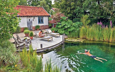 The wild rise of posh ponds | The Telegraph Decking Over Pond, Swimming Ponds, Swimming Pool Pond, Natural Swimming Ponds, Pool Landscape Design, Swimming Pond, Pond Landscaping, Natural Pond, Natural Swimming Pools