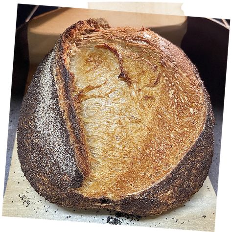 Coffee Sourdough Bread, Sourdough Basics, Sourdough Breads, Breakfast Baking, Carb Loading, Sourdough Loaf, Dough Starter, Starter Recipes, Homemade Bread Easy