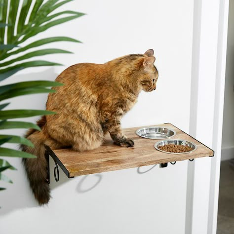 FRISCO Wall Mounted Wooden Cat Feeding Station, Natural, 2 Cup - Chewy.com Cat Tree With Feeding Station, Floating Cat Food Shelf, Wall Mounted Cat Feeder, Cat Tree Feeding Station, Wall Mounted Cat Food Station, Cat Feeding Station In Kitchen, Dog And Cat Food Station, Cat Food Shelf, Animal Feeding Station