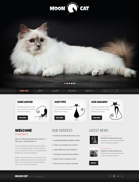 Best Cat Care & Blog WordPress Themes - MoonCat (WordPress theme) Item Picture Cat Website, Pet Hotel, Wix Templates, Pet Blog, Pet Businesses, Template Site, Wordpress Theme Design, Web Template Design, Cat Playing