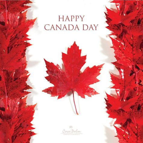 Happy Canada Day Image, Canada Day Pictures, Canada Day Images, Canada Toronto City, 1954 Birthday, Harry Smith, Toronto City, Happy Canada Day, Canada Eh