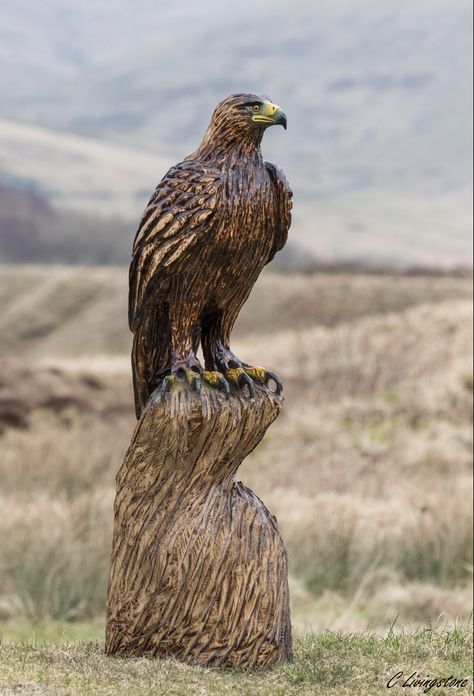 Eagle Wood Carving, Chainsaw Carving Patterns, Eagle Carving, Chainsaw Sculpture, Chainsaw Wood Carving, Wood Sculpture Art, Dremel Carving, Saul Leiter, Carved Wood Sculpture