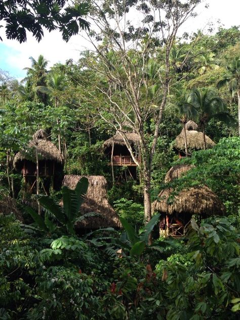 Jungle Treehouse Aesthetic, Tarzan Aesthetic Disney, Tarzan Aesthetic, Hut Village, Living In The Jungle, Jungle Treehouse, Treehouse Village, Jungle Village, Jungle Hut